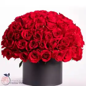 Luxury Red Rose Dome