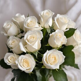 Dozen White Roses for Special Woman