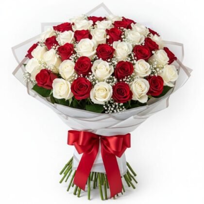A dense Bouquet Red and White Roses featuring fresh blooms and white baby's breath wrapped with a red ribbon.
