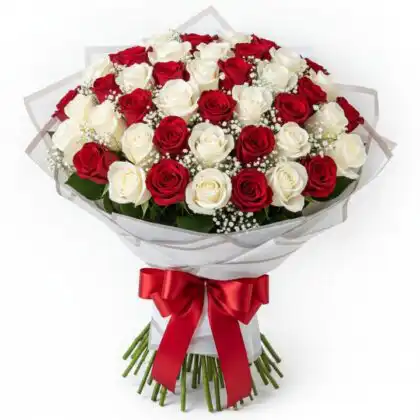 A dense Bouquet Red and White Roses featuring fresh blooms and white baby's breath wrapped with a red ribbon.