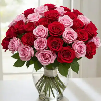 A stunning red and pink roses bouquet arranged with fresh green leaves and elegant wrapping for a romantic gift.