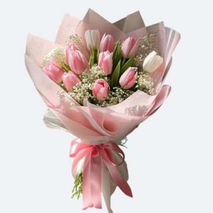 A vibrant 12 Tulips Flower Bouquet featuring soft pink and white petals nestled in baby's breath.