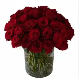 24 Premium Red Roses Bouquet