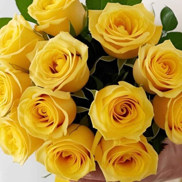 A Dozen Hand tied Yellow Rose For Mother's Day flowers UK - Fresh and vibrant yellow roses arranged beautifully for Mother’s Day delivery, available with secure online ordering and next-day shipping