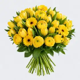 Radiant Sunshine: 50 Premium Hand-Tied Yellow Roses