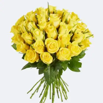 A large 50 yellow roses bouquet hand-tied with vibrant green leaves against a clean white background.