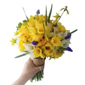 Daffodil Bouquet Flowers