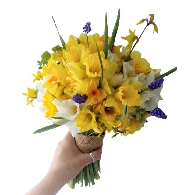 Daffodil Bouquet Flowers 1 daffodil bouquet , daffodil bouquet flowers , daffodils bouquet , daffodil bouquet delivery uk ,