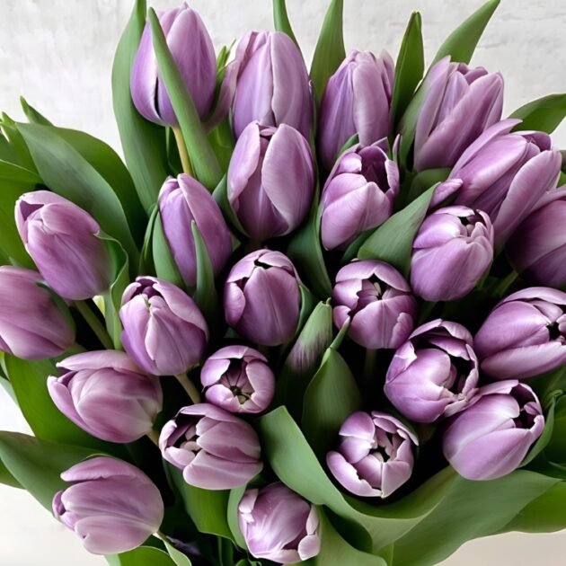 Hand Tied Lilac Tulips Flowers Mother's Day - Beautiful and Fresh Lilac Tulips for a Memorable Gift