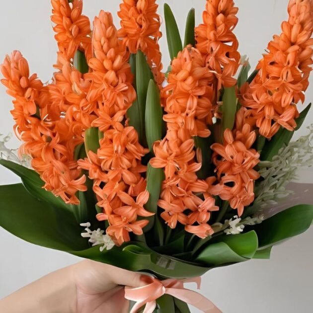 Orange Hyacinth Mother's Day Bouquet - Beautiful, Fragrant Flowers Delivered Fresh