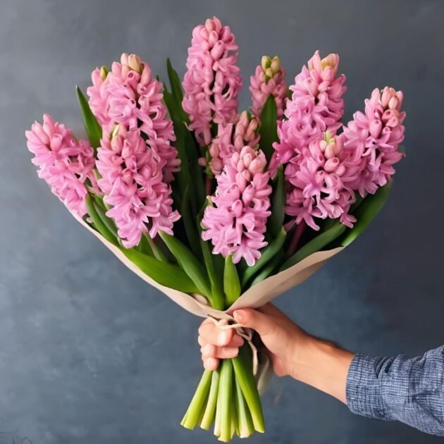 Pink Hyacinth Flowers Bouquet for Mother’s Day – Fresh & Elegant, Delivered Across the UK