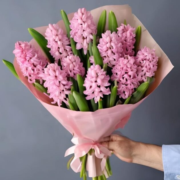 Beautiful Pink Hyacinth Flowers Bouquet for Mother’s Day – Fresh & Elegant UK Delivery