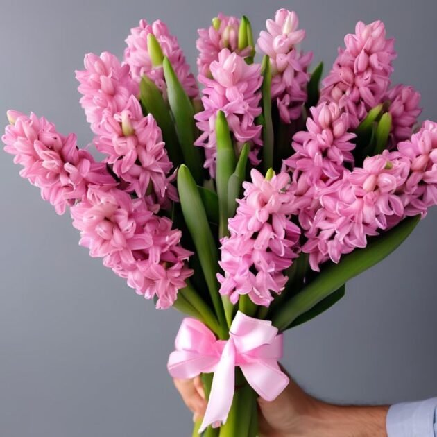 Pink Hyacinth Flowers Bouquet for Mother's Day - Fresh & Fragrant Delivery Across the UK