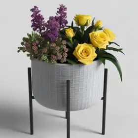 Yellow Rose, Purple Spike, Filler Plants/ Succulent Plants