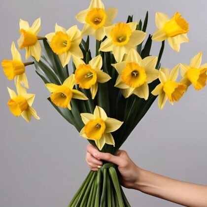 "Fresh daffodil flower bouquet delivery for any occasion"