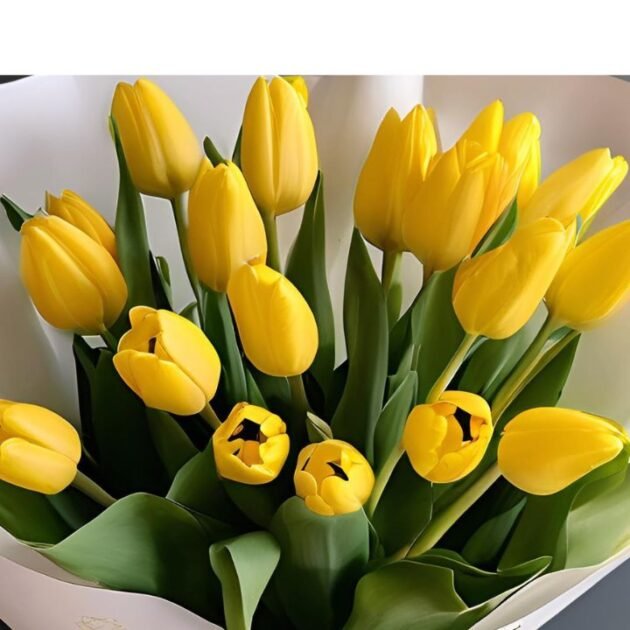 Yellow Hand Tied Tulips Bouquet Mother's Day Flowers - Elegant Fresh Tulips for Your Loved One