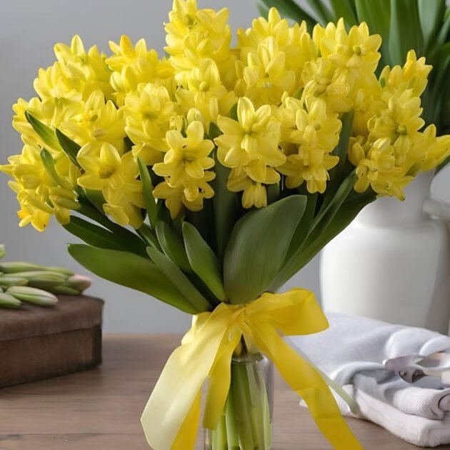 Yellow Hyacinth Mother’s Day Flowers Delivery – Fresh & Vibrant Bouquet