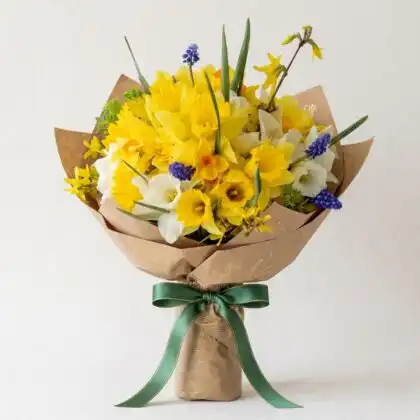 A vibrant Daffodil Bouquet Flowers arrangement featuring fresh yellow petals in a luxury wrap for spring gifting.