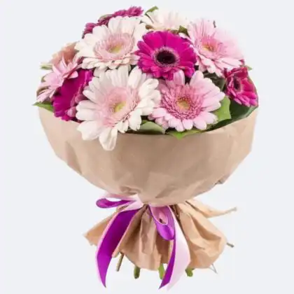 Vibrant white and pink gerbera daisy bouquet wrapped in craft paper with purple ribbons.