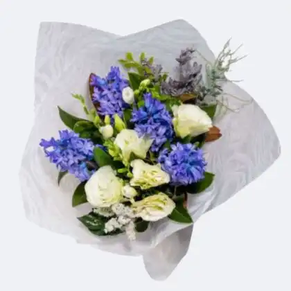 A vibrant hyacinth and rose bouquet featuring deep blue blossoms and crisp white petals wrapped in decorative paper.