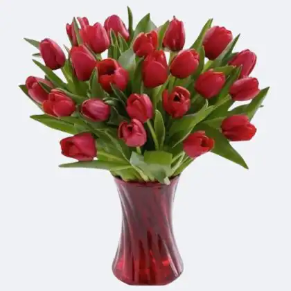 A vibrant Red Tulip Bouquet elegantly arranged with natural green foliage in a glass vase.