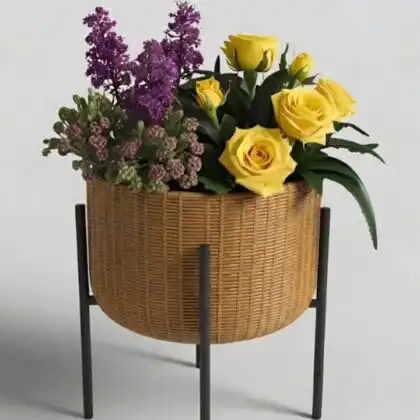 Vibrant rose succulent plant nestled in a stylish wooden tripod planter perfect for modern interior decoration.