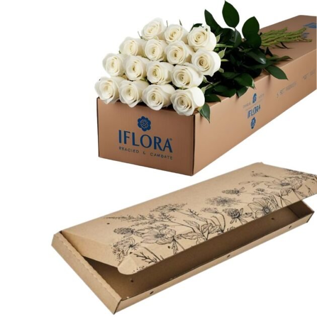 12 stems of white roses in a gift cardboard box