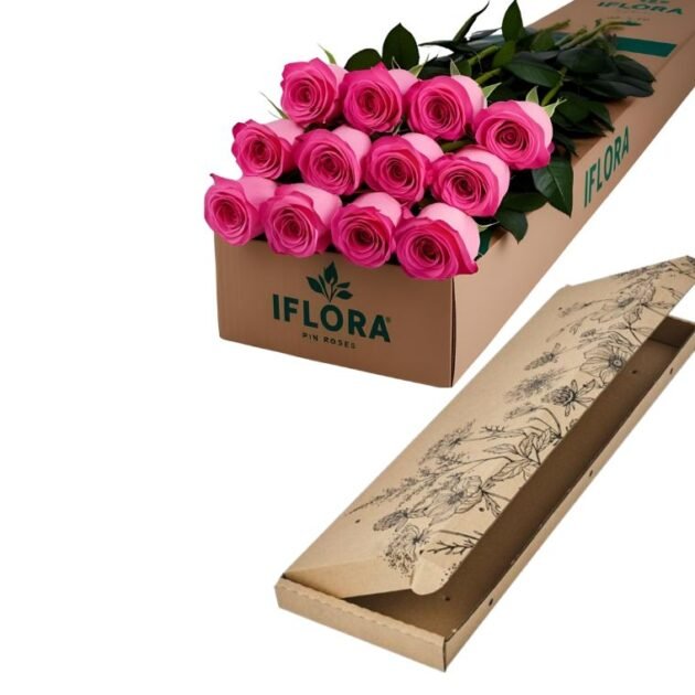 12 stems of Pink roses in a gift cardboard box