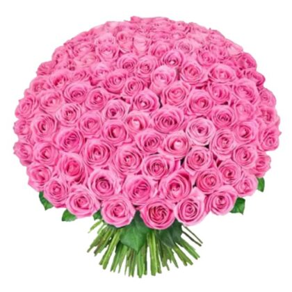 Luxurious 100 pink roses bouquet on sale, perfect for a grand celebration.