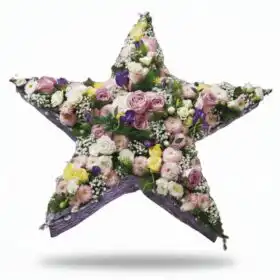 Rose and Carnation Star Floral Tribute