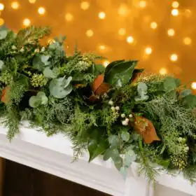 Scented Mix Christmas Fern garland