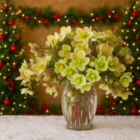 Hellebores Cut Flower Arrangement in Vase