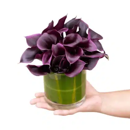 Hand holding a low glass vase centerpiece filled with vibrant, dark Purple Calla Lily Arrangements.