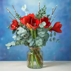Red amaryllis flowers Bouquet with vase