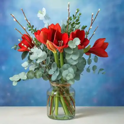 A glass vase containing striking red Amaryllis cut flowers, eucalyptus, and willow sticks against a festive blue bokeh background. Red amaryllis flowers Bouquet for sale