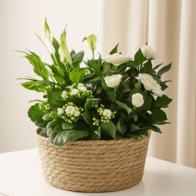 White planted basket