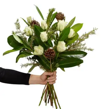 A hand holds an elegant white rose Christmas bouquet arranged with glossy dark green leaves and natural pine cones. Festive flower arrangements for next day delivery