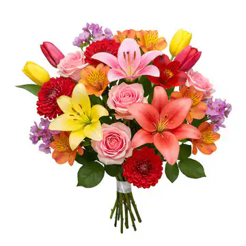 colorful alstroemeria flower 