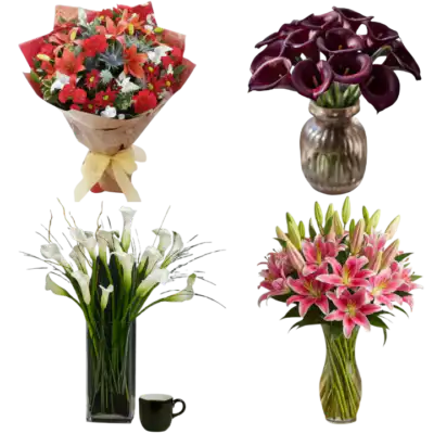 All Types of lily Bouquets